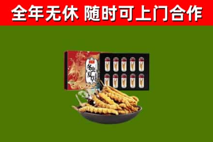 向阳回收冬虫夏草价格