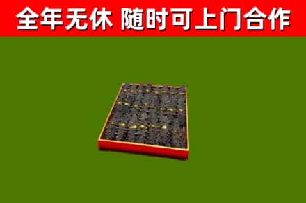 向阳回收海参